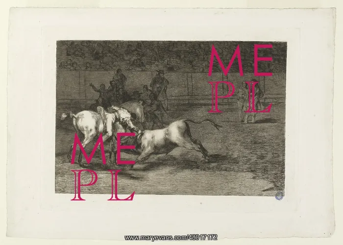 : Bullfighting : Bullfighting