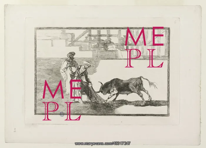 : Bullfighting : Bullfighting