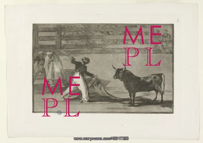 : Bullfighting : Bullfighting