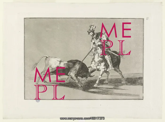 : Bullfighting : Bullfighting