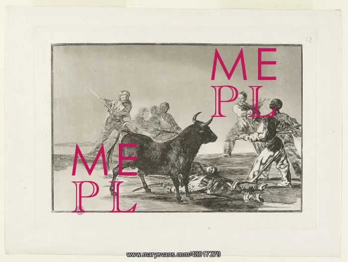 : Bullfighting : Bullfighting