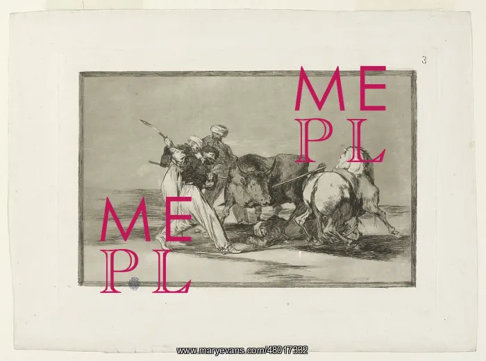 : Bullfighting : Bullfighting