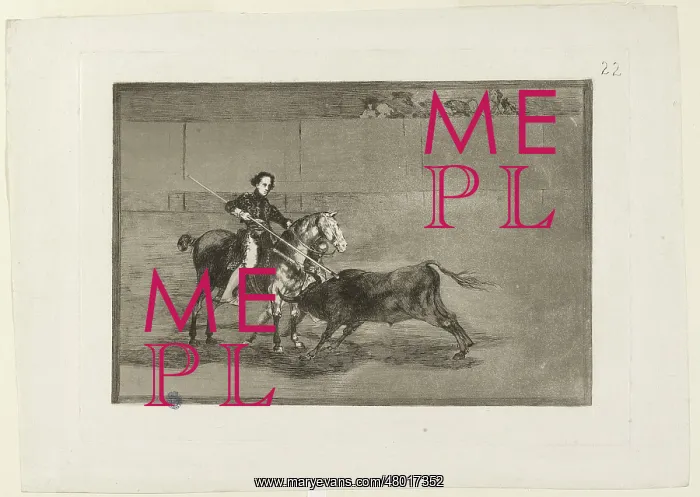 : Bullfighting : Bullfighting
