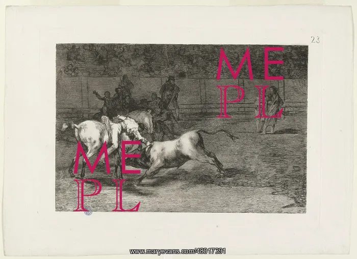 : Bullfighting