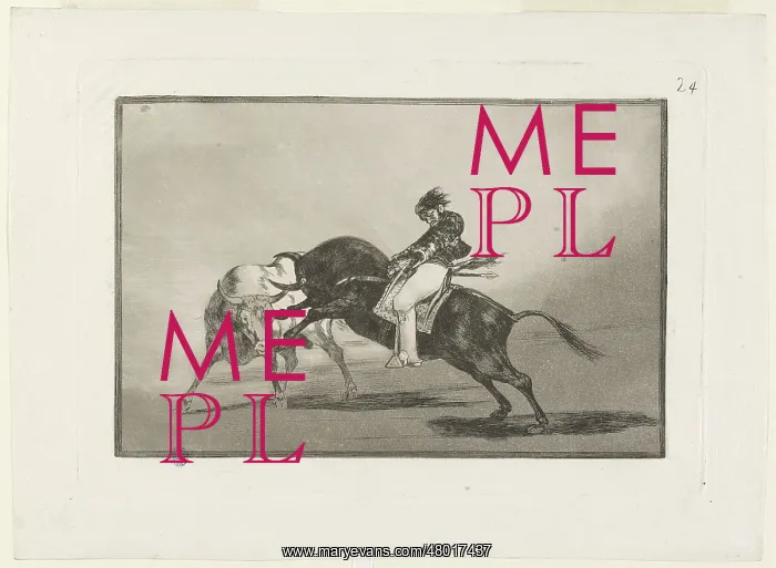 : Bullfighting : Bullfighting