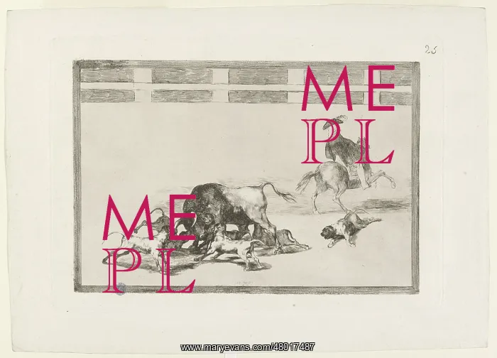: Bullfighting : Bullfighting