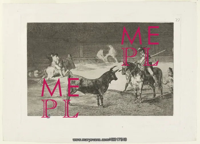 : Bullfighting : Bullfighting