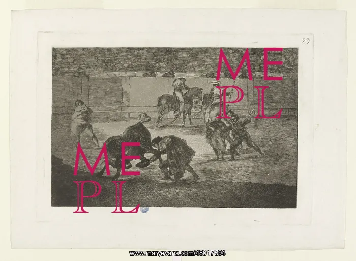 : Bullfighting : Bullfighting