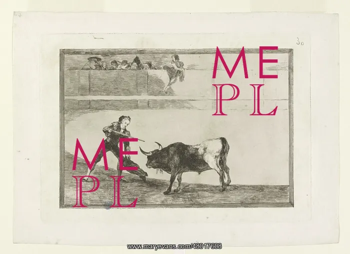 : Bullfighting : Bullfighting