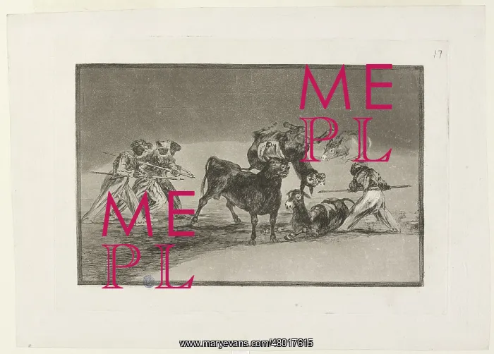 : Bullfighting : Bullfighting