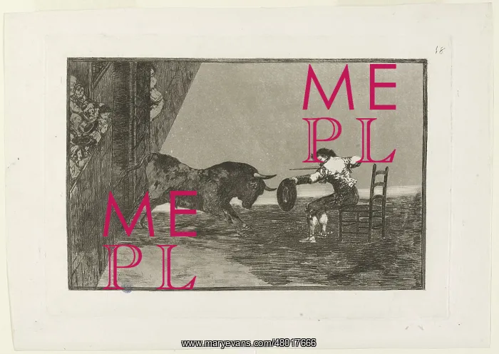 : Bullfighting : Bullfighting