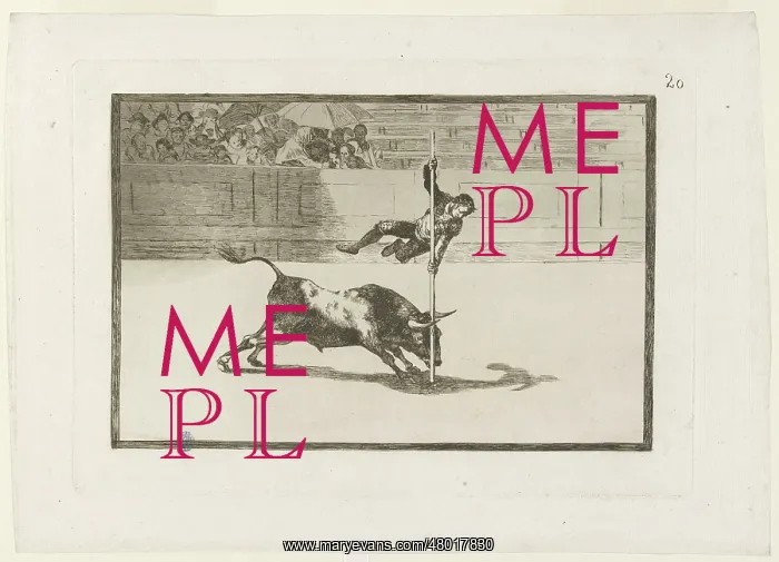 : Bullfighting : Bullfighting