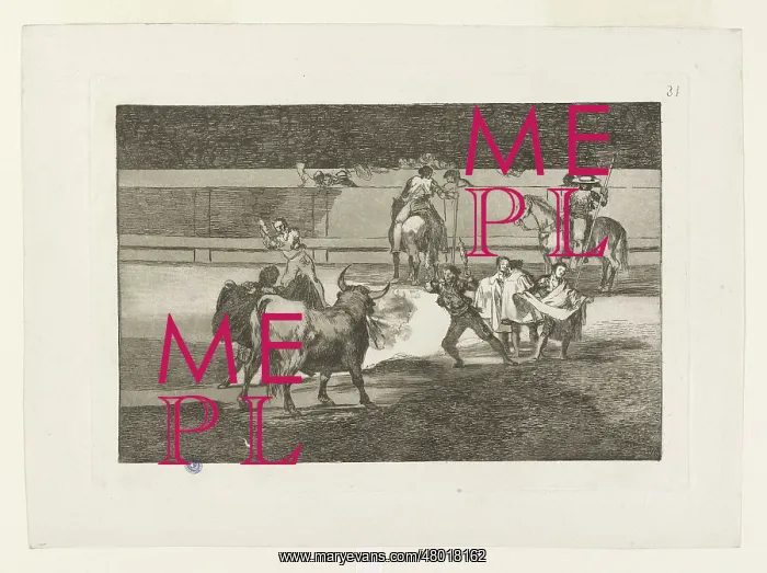 : Bullfighting : Bullfighting