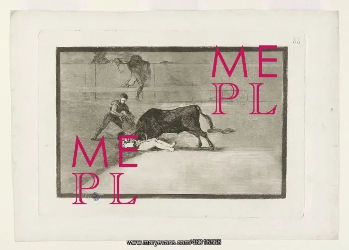 : Bullfighting : Bullfighting