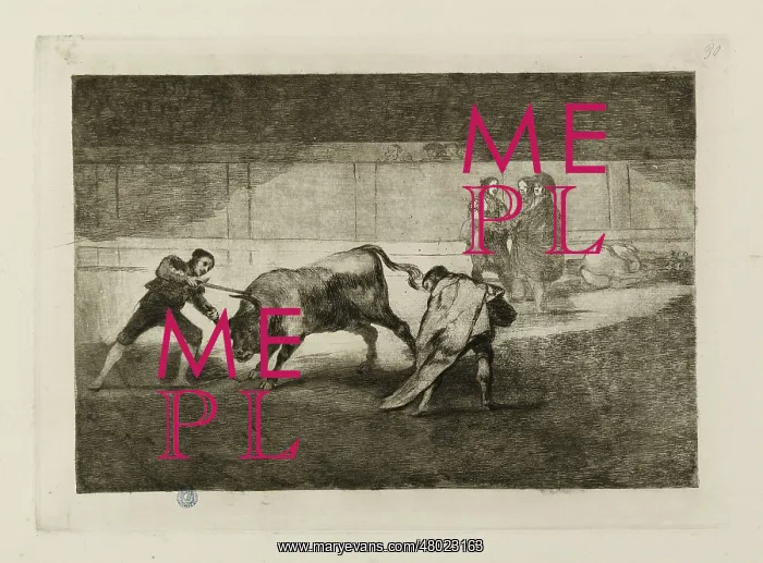 : Bullfighting : Bullfighting