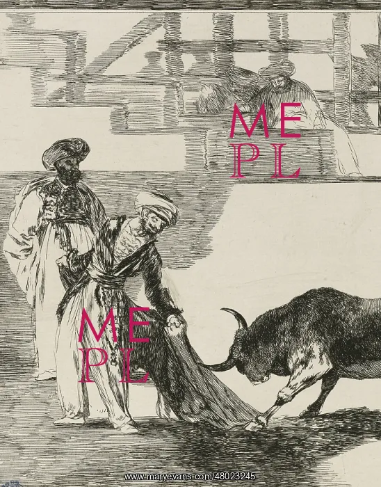 : Bullfighting : Bullfighting