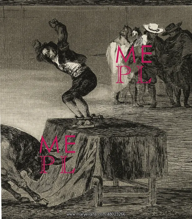  : Bullfighting