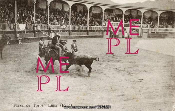  : Bullfighting - Lima, Peru