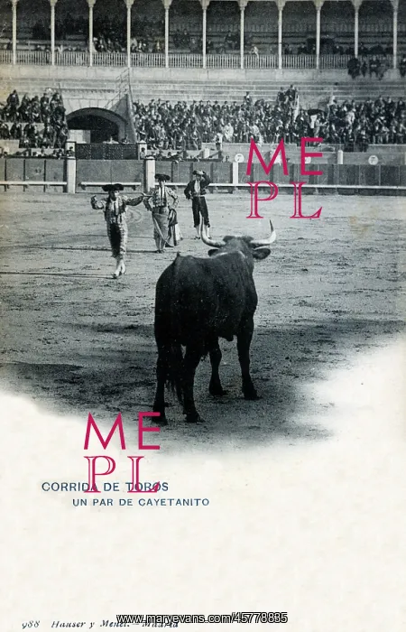  : Bullfighting at Madrid, Spain