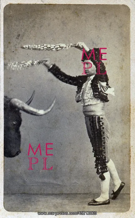 : Bullfighting. Occupational portrait of a ? : Bullfighting. Occupational portrait of a ?