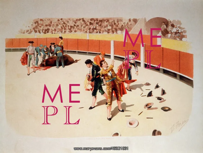 : Bullfighting scene, applause for the matador : Bullfighting scene, applause for the matador