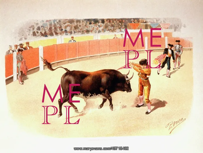 : Bullfighting scene with banderillas : Bullfighting scene with banderillas