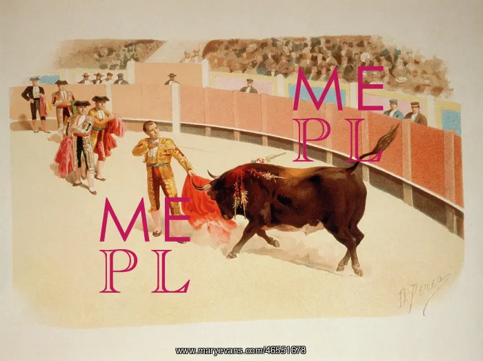 : Bullfighting scene with bull and matador : Bullfighting scene with bull and matador
