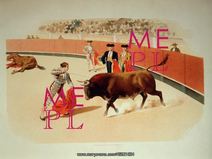  : Bullfighting scene with bull and matador