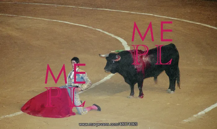 : Bullfighting in Spain : Bullfighting in Spain