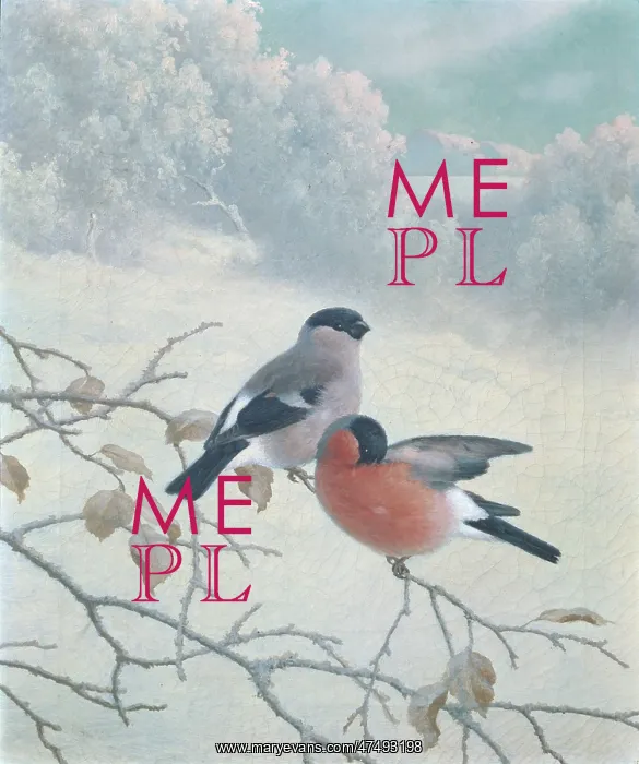 : Bullfinches : Bullfinches