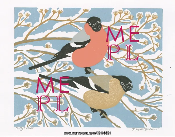 : Bullfinches : Bullfinches