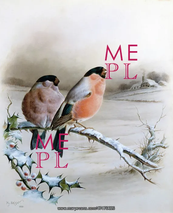 : Bullfinches in a Winter Landscape : Bullfinches in a Winter Landscape