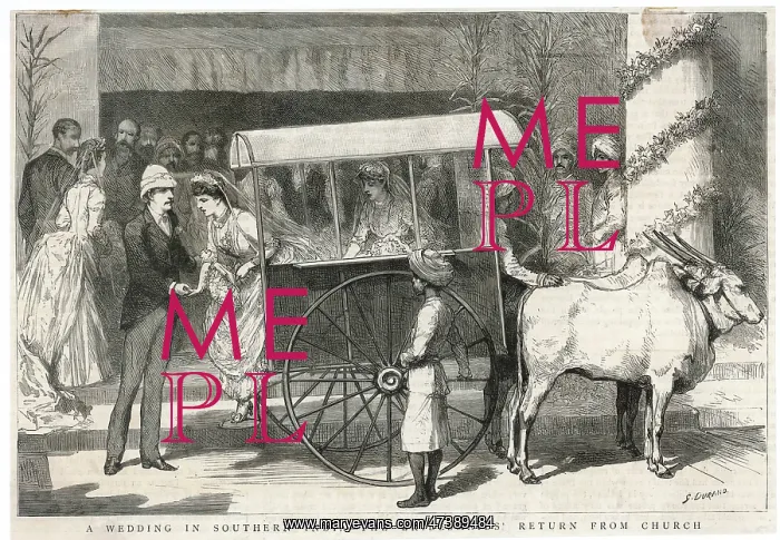 : BULLOCK CART - 2 : BULLOCK CART - 2