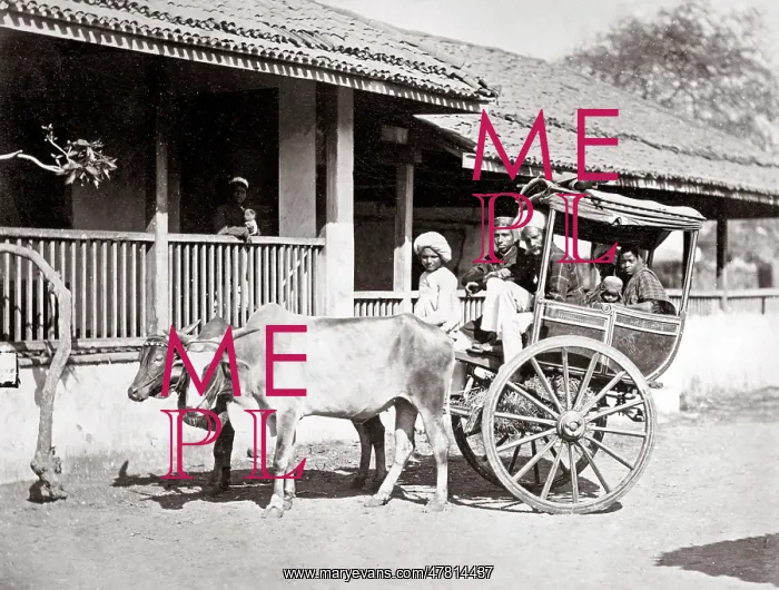  : Bullock hackney or taxi, India, c.1890