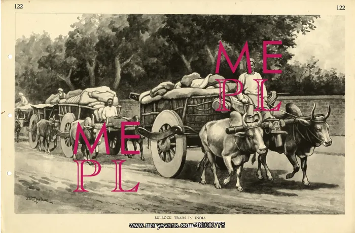 : Bullock Train in India, by J Macfarlane : Bullock Train in India, by J Macfarlane