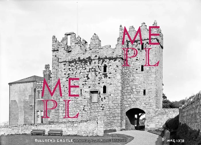 : Bullock's Castle, Dalkey, Co. Dublin : Bullock's Castle, Dalkey, Co. Dublin