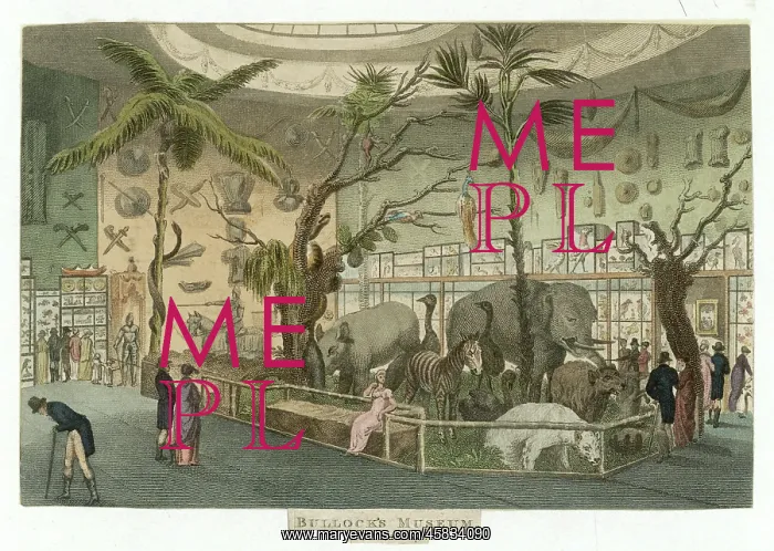 : Bullock's Museum 1811 : Bullock's Museum 1811