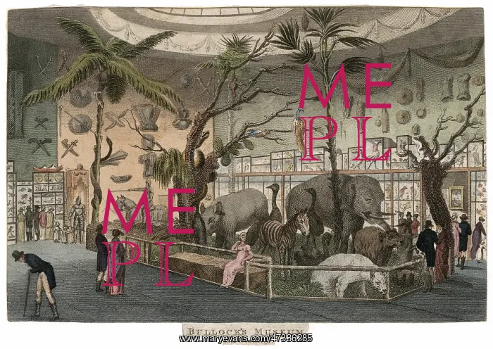 : BULLOCK'S MUSEUM : BULLOCK'S MUSEUM