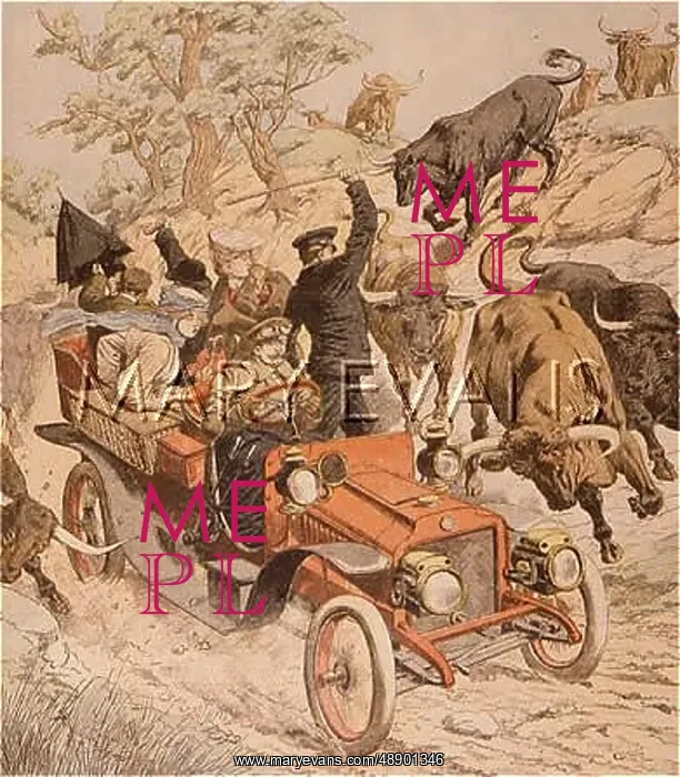 : BULLS ATTACK CAR : BULLS ATTACK CAR