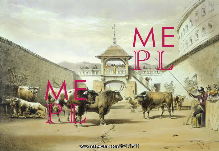 : The bulls in the corral of the plaza : The bulls in the corral of the plaza