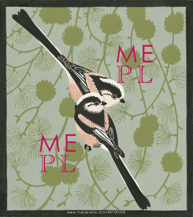 : Bum Barrels (Long-tailed Tits) : Bum Barrels (Long-tailed Tits)