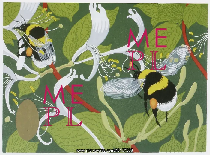 : Bumblebees : Bumblebees