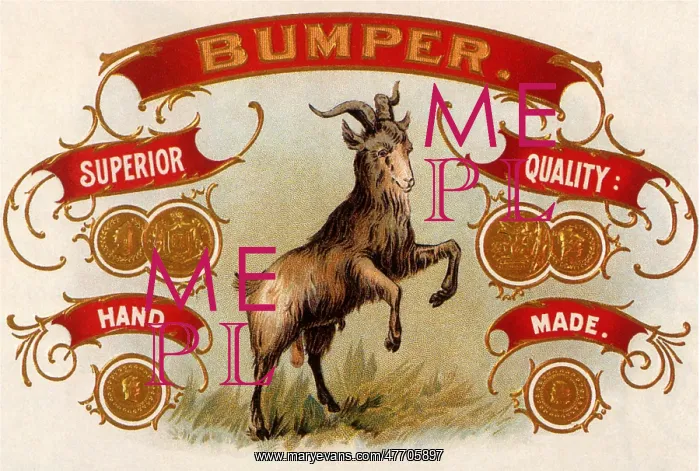  : Bumper