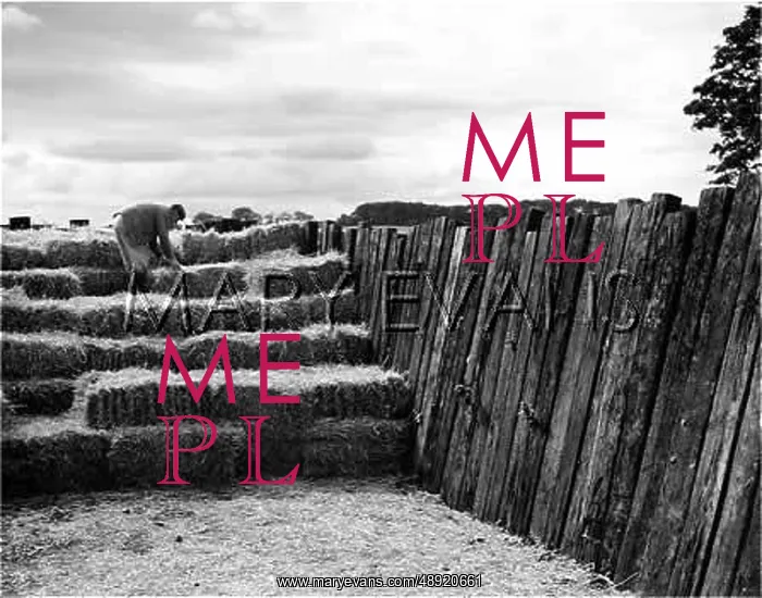 : BUMPER HAY HARVEST : BUMPER HAY HARVEST