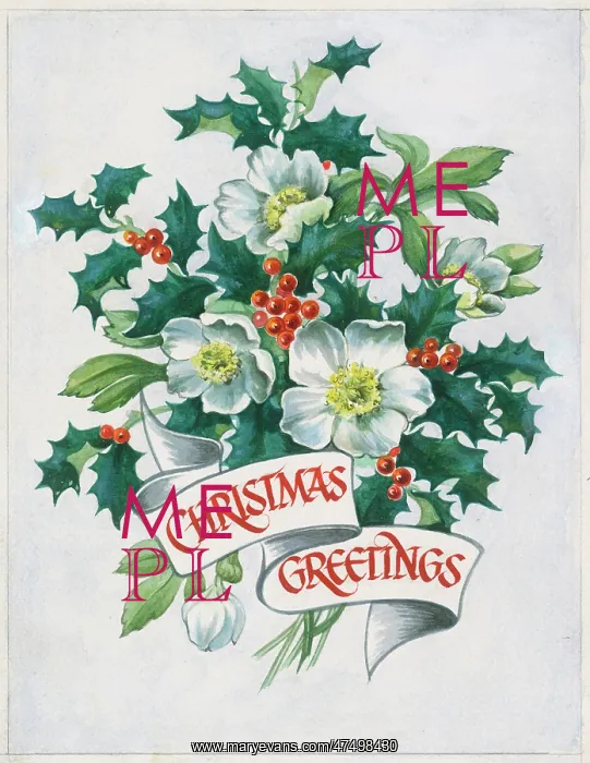 : Bunch of Christmas Roses and Holly : Bunch of Christmas Roses and Holly