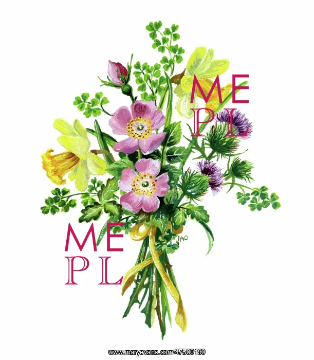 : Bunch of daffodils, wild roses, thistle : Bunch of daffodils, wild roses, thistle