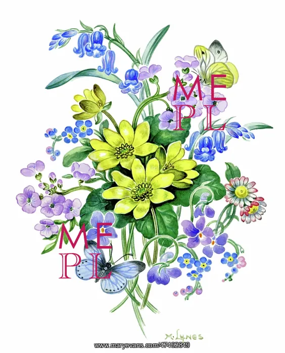 : Bunch of flowers with two butterflies : Bunch of flowers with two butterflies