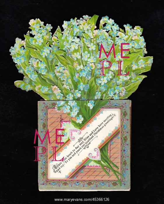 : Bunch of forgetmenots on a Christmas card : Bunch of forgetmenots on a Christmas card