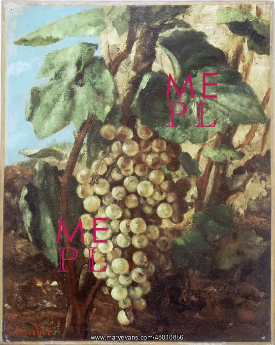 : Bunch of grapes : Bunch of grapes