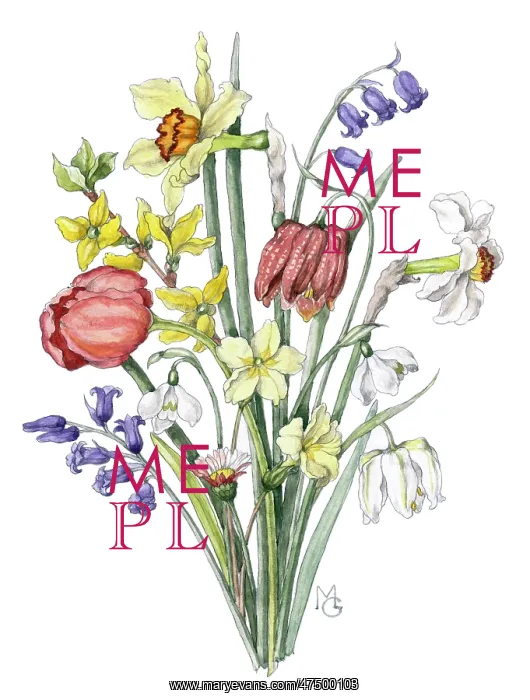 : Bunch of mixed spring flowers : Bunch of mixed spring flowers